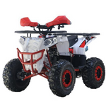 QUAD KA-125 COMMANDER 2026 VERSION