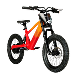 E-BIKE EOS 550w 36v