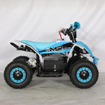 Mini Quad Electrico 1000W 36V 2025