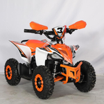 Mini Quad Electrico 1000W 36V 2025