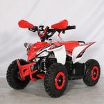 Mini Quad Electrico 1000W 36V 2025