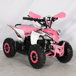 Mini Quad Electrico 1000W 36V 2025