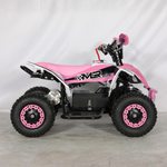 Mini Quad Electrico 1000W 36V 2025