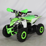 Mini Quad Electrico 1000W 36V 2025