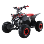 QUAD RAPTOR 125CC 4T R7 2026