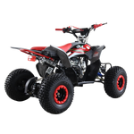 QUAD RAPTOR 125CC 4T R7 2026