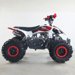 Quad Sport 125cc MR R8 2025