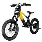 E-BIKE EOS 550w 36v