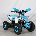 Mini Quad Electrico 1000W 36V 2025