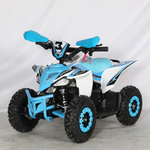 Mini Quad Electrico 1000W 36V 2025