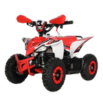 MINI QUAD ELECTRICO 1000W 48V 2025