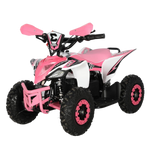 MINI QUAD ELECTRICO 1000W 48V 2025