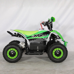 Mini Quad Electrico 1000W 36V 2025