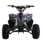 QUAD RAPTOR 125CC 4T R7 2026